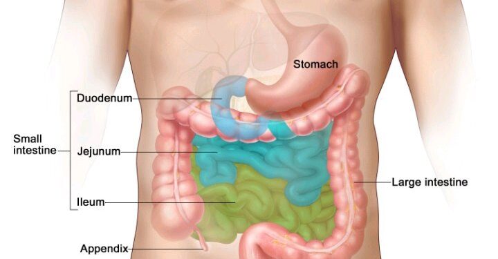 Cancer of the Stomach Kills: Stop Eating These Six Things If You Want to Live Long