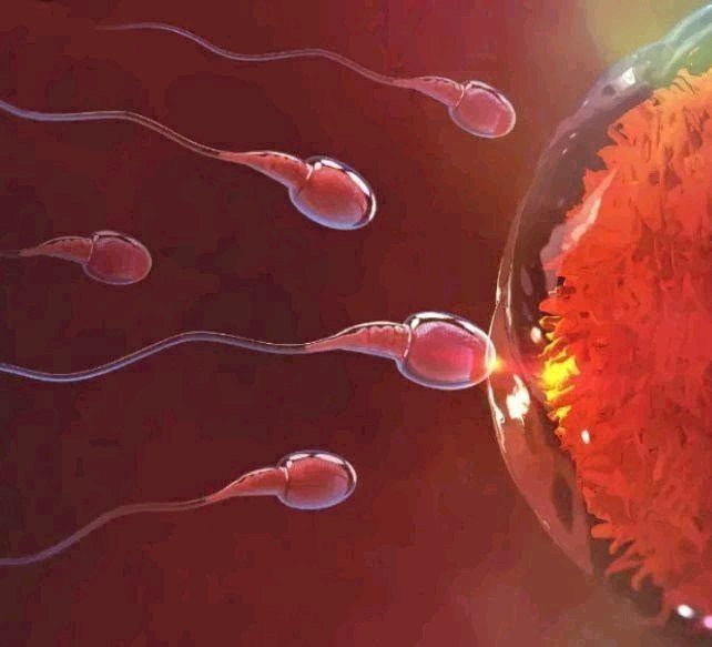 Things Men Supposed To Do Daily To Maintain Their Fertility