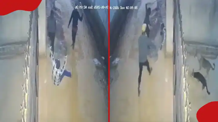 CCTV Shows Terrifying Moments Couple Returning Home at 2 am Encounter 7 Panga-Wielding Men