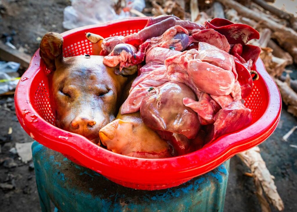 Police Seize Four Slaughtered Dogs Being Taken to Roadside Meat Market